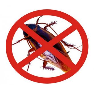 灭蟑螂，小绝招轻松搞定